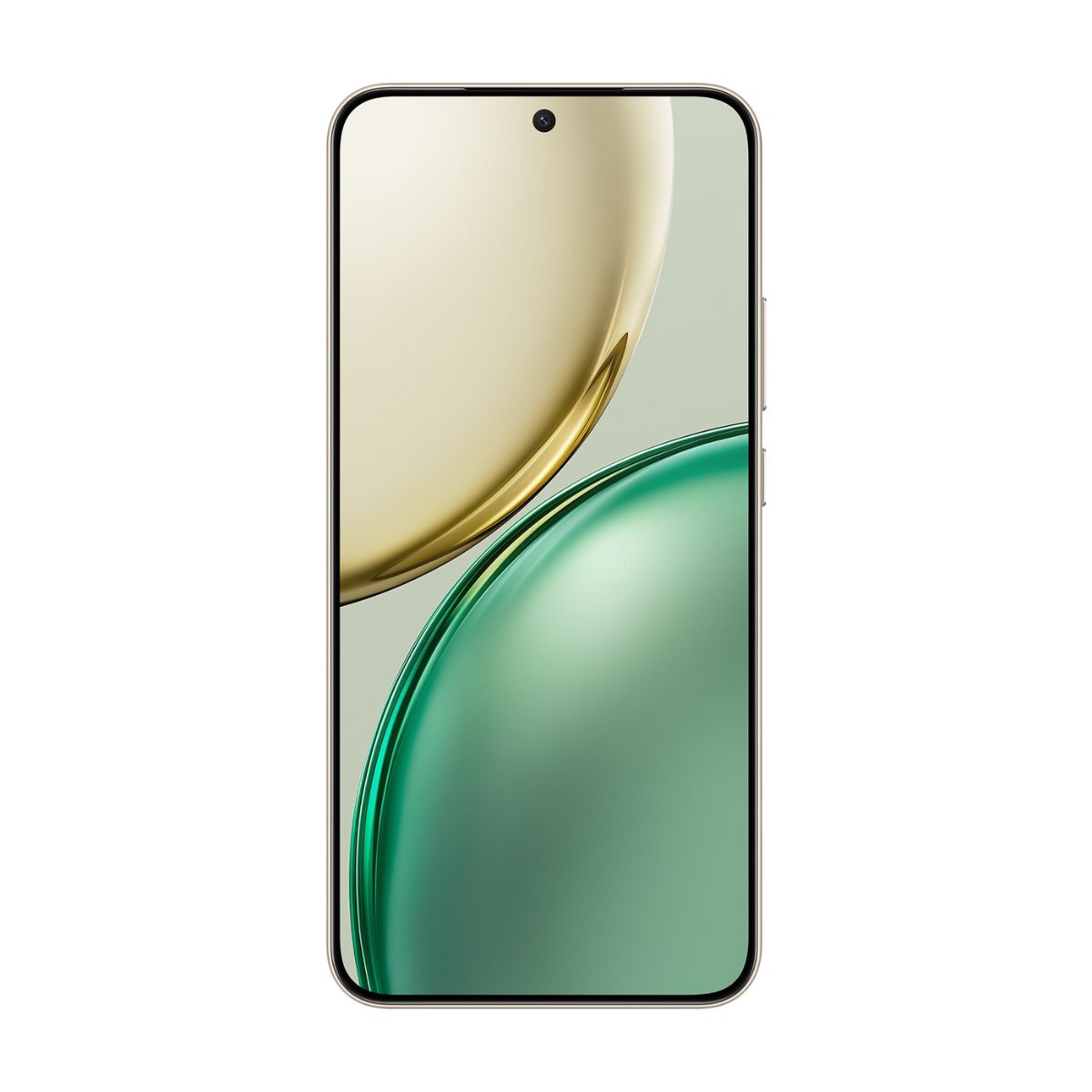 Honor X9d 12+256GB 5G SIM Free